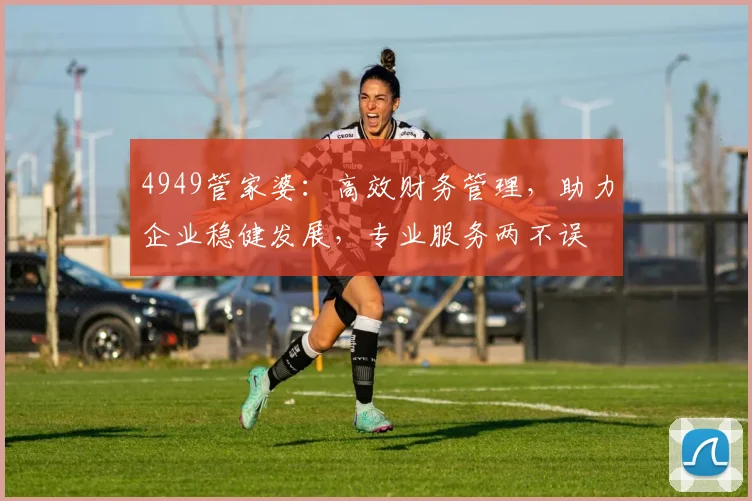 4949管家婆：高效财务管理，助力企业稳健发展，专业服务两不误