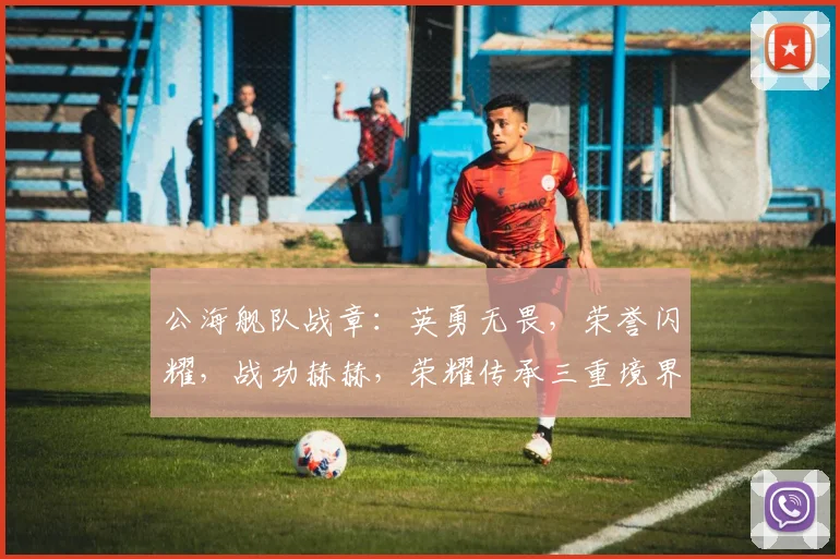 公海舰队战章：英勇无畏，荣誉闪耀，战功赫赫，荣耀传承三重境界，彰显军威