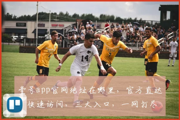 壹号app官网地址在哪里，官方直达，快速访问，三大入口，一网打尽