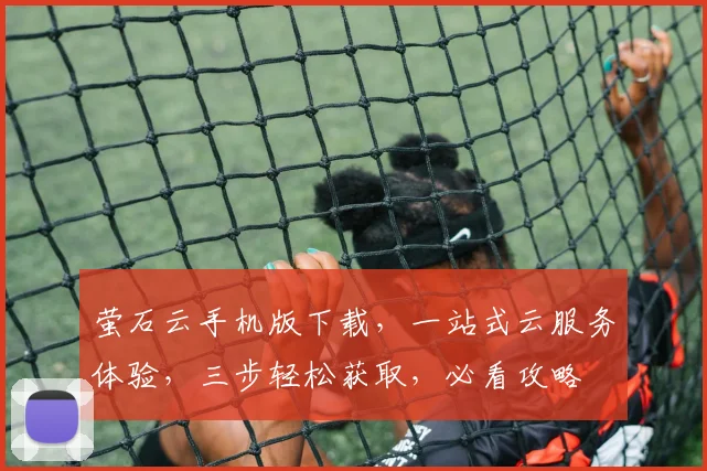 萤石云手机版下载，一站式云服务体验，三步轻松获取，必看攻略