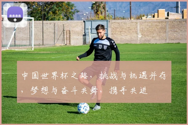 中国世界杯之路，挑战与机遇并存，梦想与奋斗共舞，携手共进