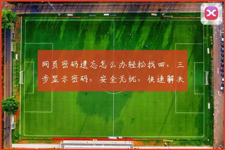 网页密码遗忘怎么办轻松找回，三步显示密码，安全无忧，快速解决