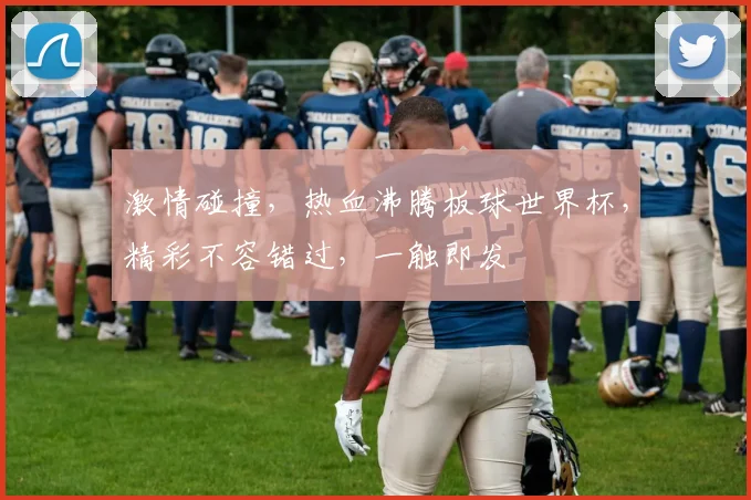 激情碰撞，热血沸腾板球世界杯，精彩不容错过，一触即发